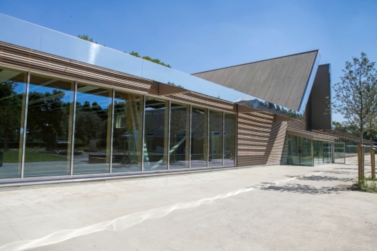 gymnase stade suchet